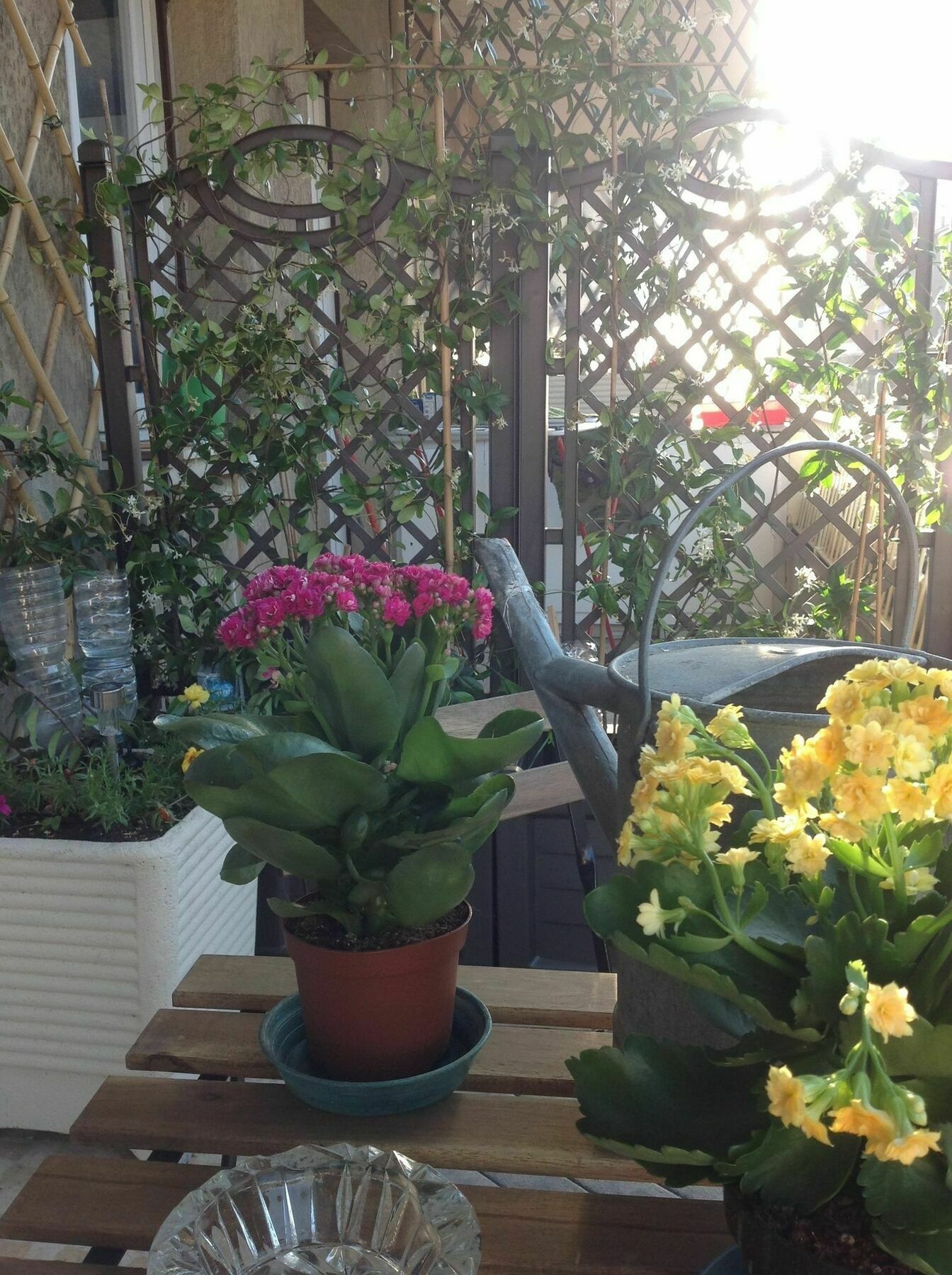 Interno 8